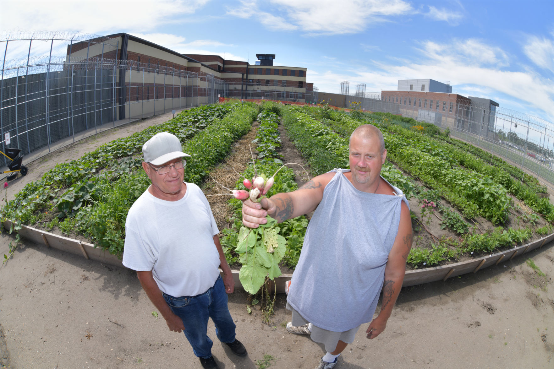 Victory Garden